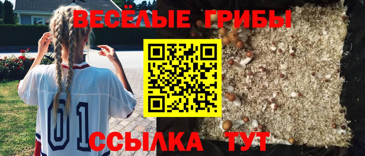 Псилоцибиновые грибы GOLDEN TEACHER Воткинск