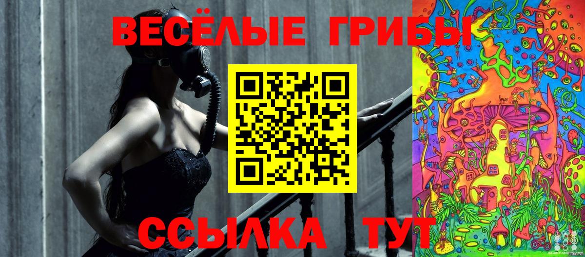 купить   Галлюциногенные грибы прущие грибы  Вход с VPN  Воткинск  Псилоцибиновые грибы прущие грибы 